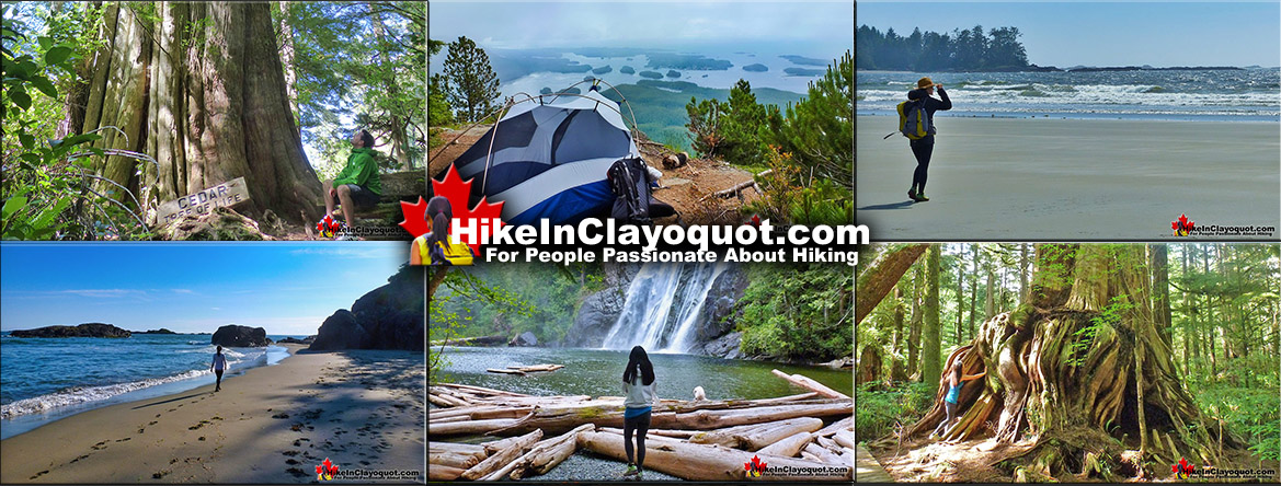 Best Clayoquot Hiking Trails