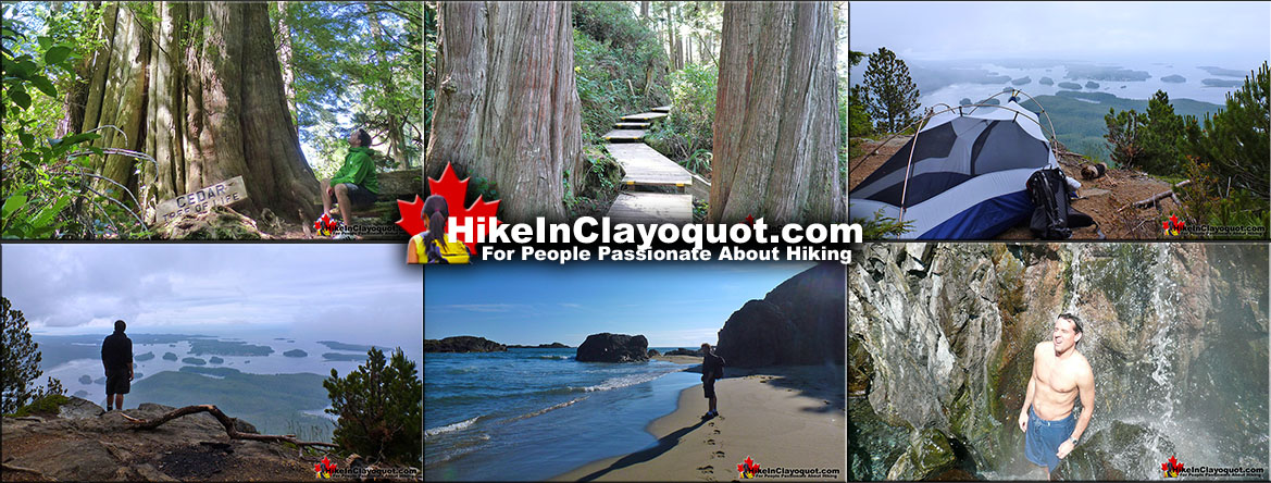 Best Tofino Hiking Trails