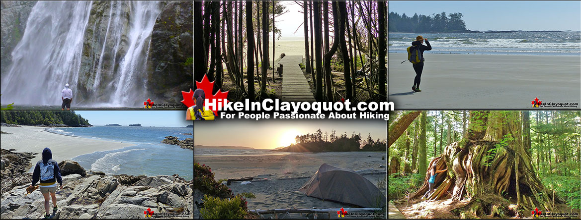 Tofino Hiking Trails Guide