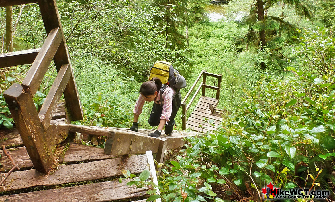 West Coast Trail Ladders