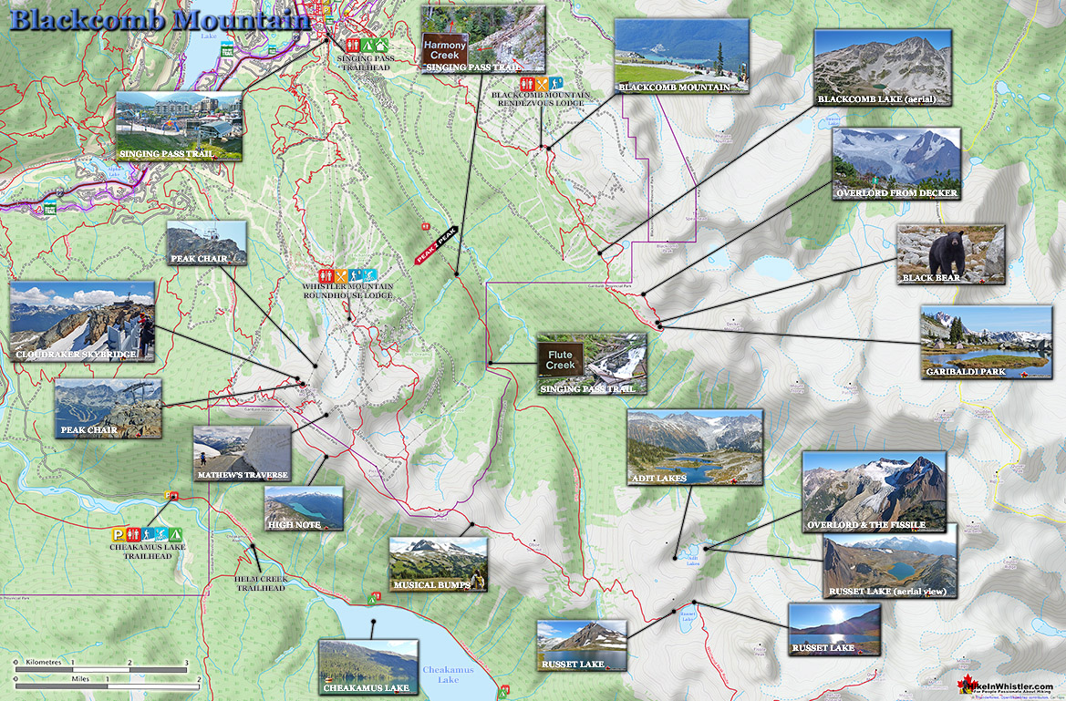 Blackcomb Mountain Map v19