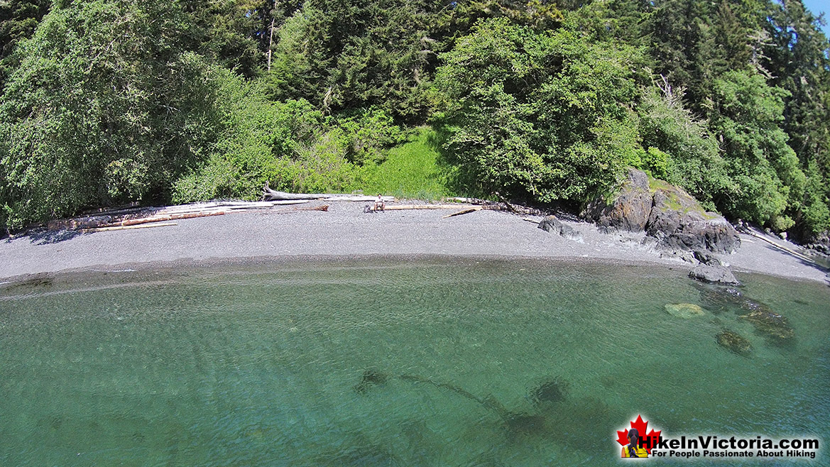 East Sooke Park Hike in Victoria