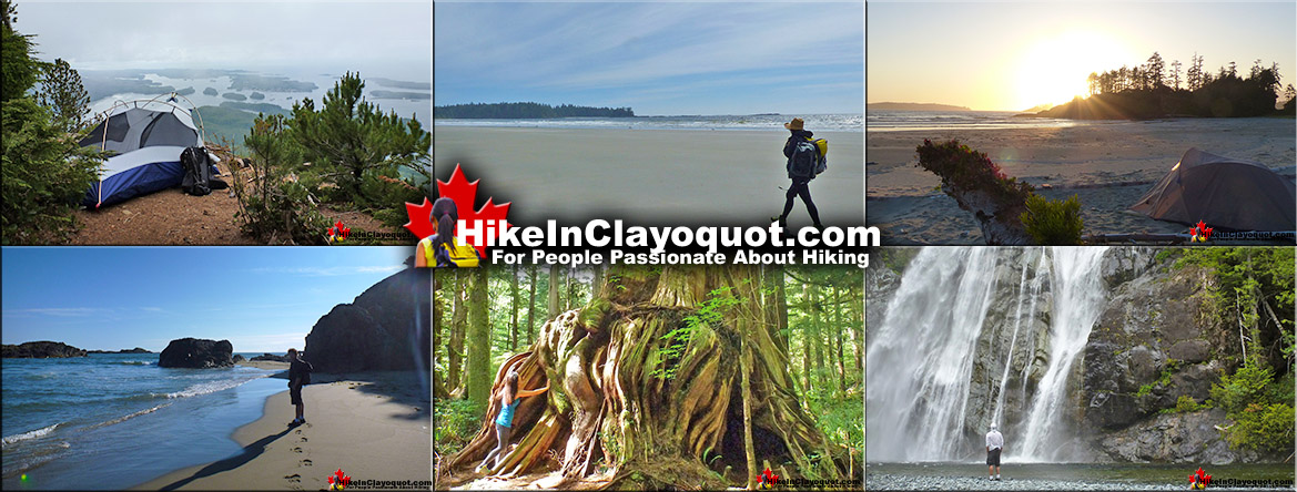 Hike in Clayoquot
