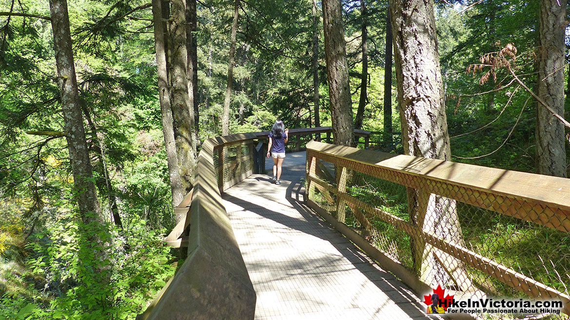 Witty's Lagoon Regional Park Hike in Victoria