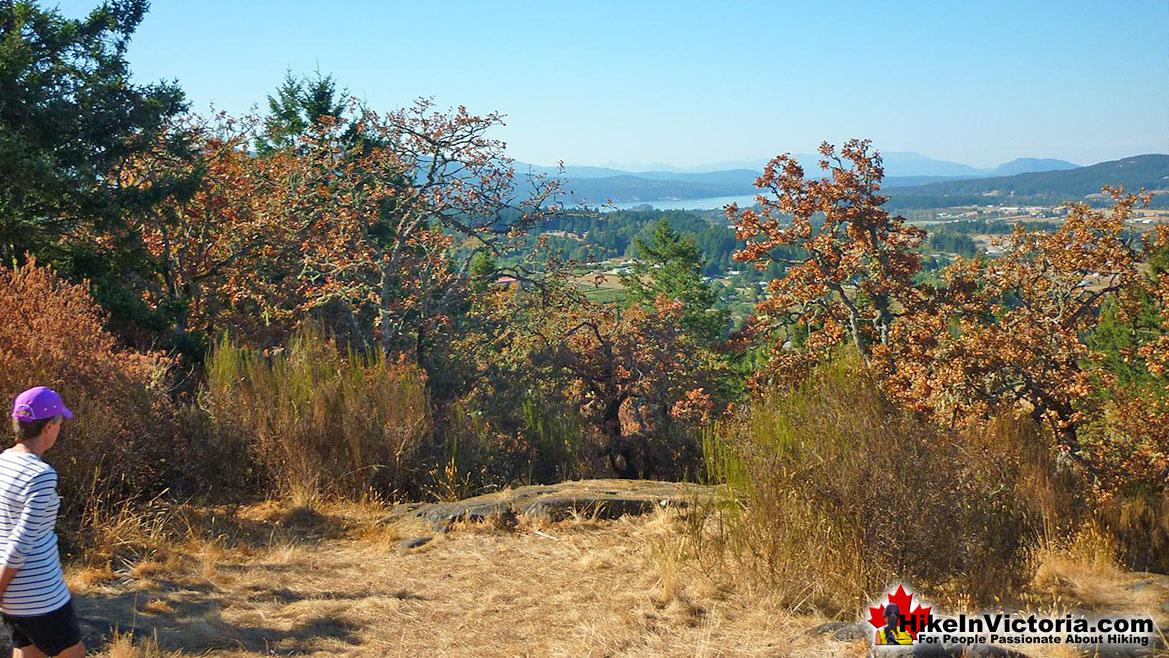 Bear Hill Hike in Victoria