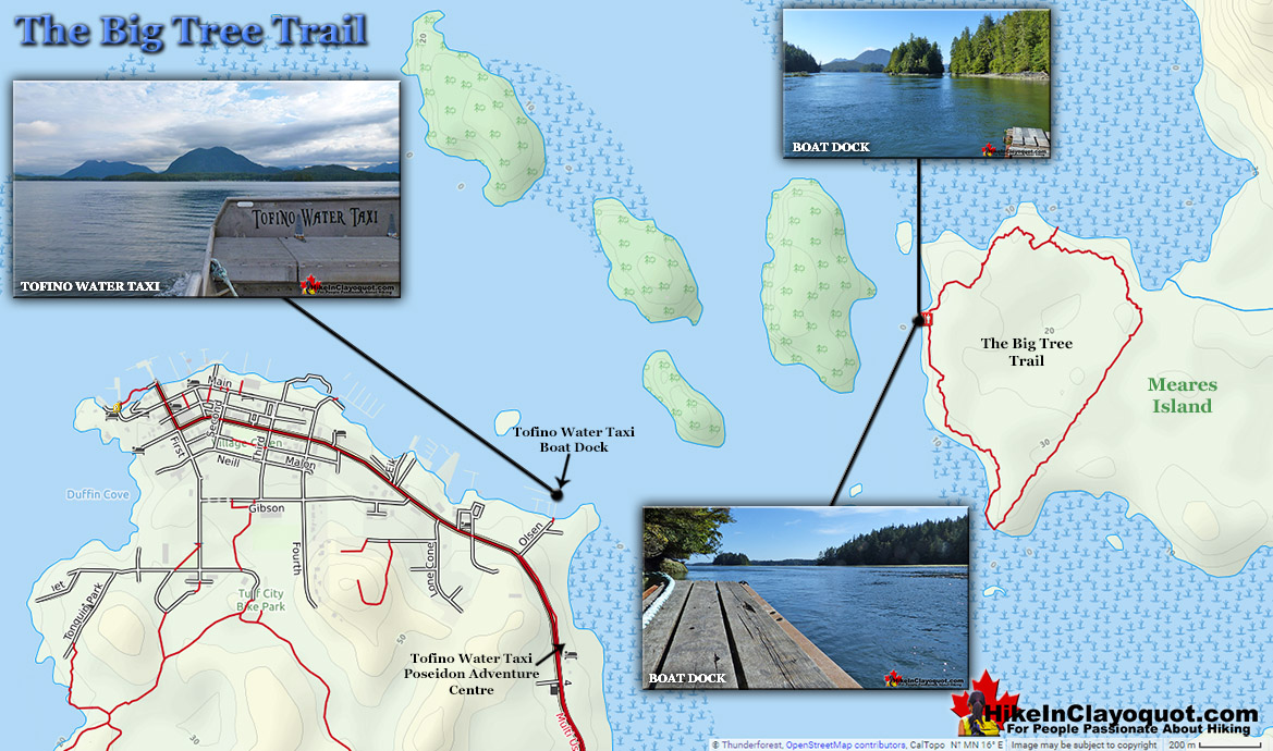 The Big Tree Trail on Meares Island