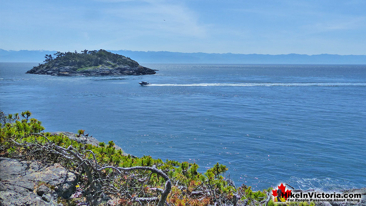 East Sooke Park Hike Victoria