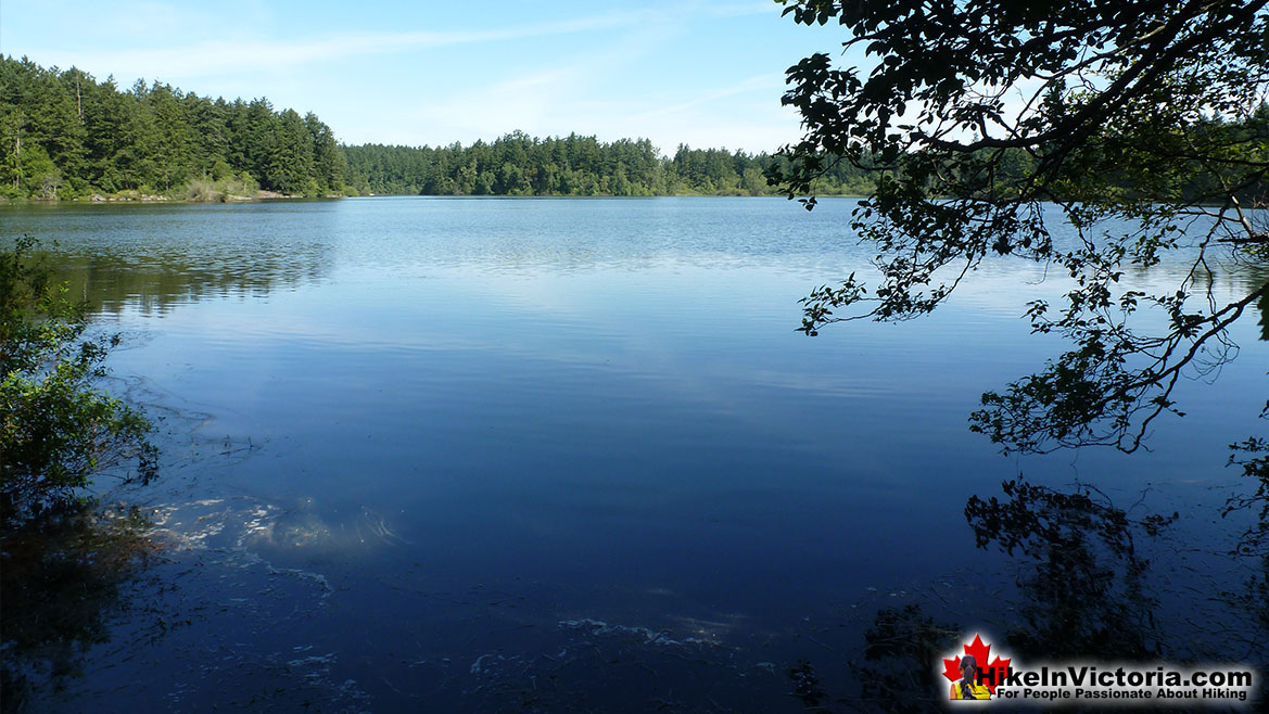 Elk/Beaver Lake Park