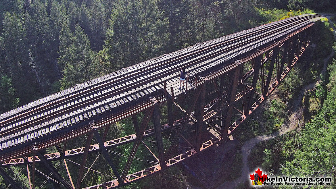 Goldstream Park Train Trestle