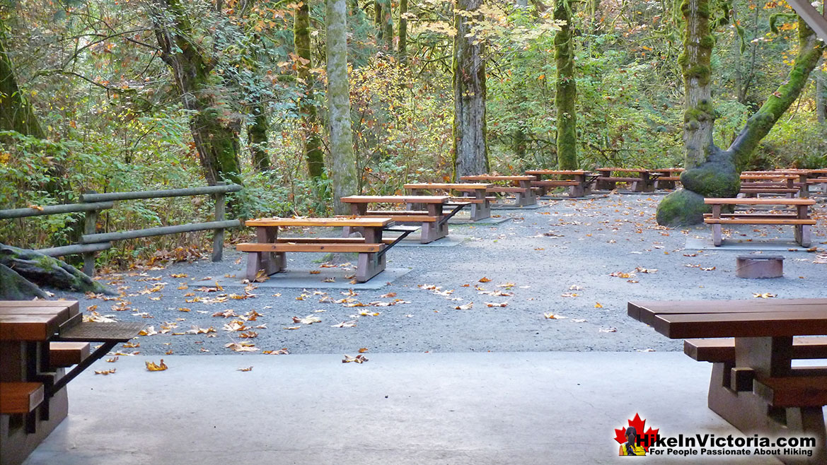 Goldstream Park Picnic Tables