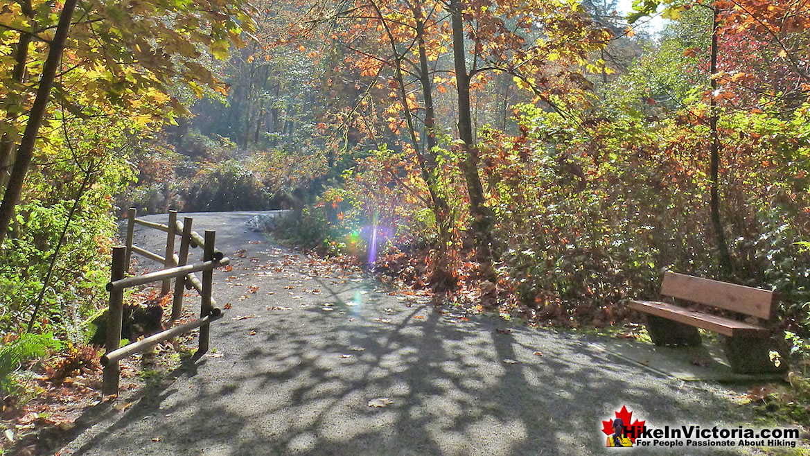 Goldstream Park Trail