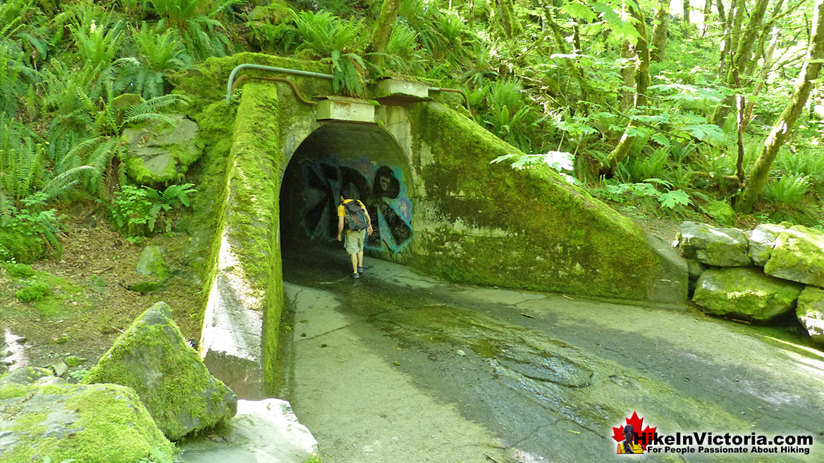 Goldstream Park Tunnel to Niagara Falls