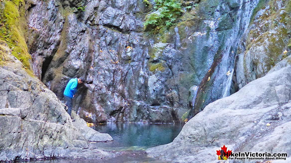 Niagara Falls in Goldstream Park