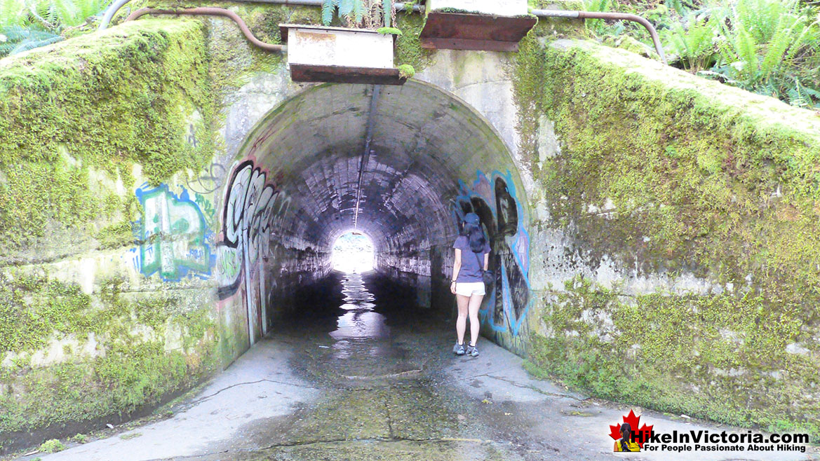 Goldstream Park Tunnel to Niagara Falls
