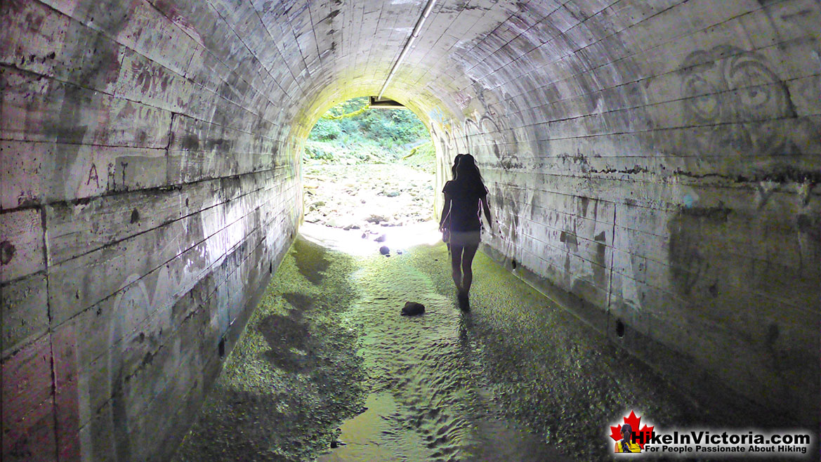 Goldstream Park Tunnel to Niagara Falls