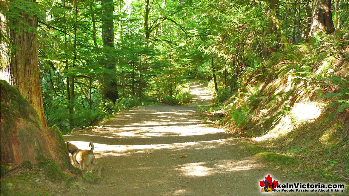 Gowlland Tod Provincial Park