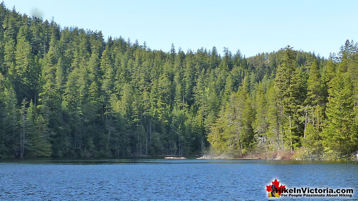 Grass Lake Hike in Victoria