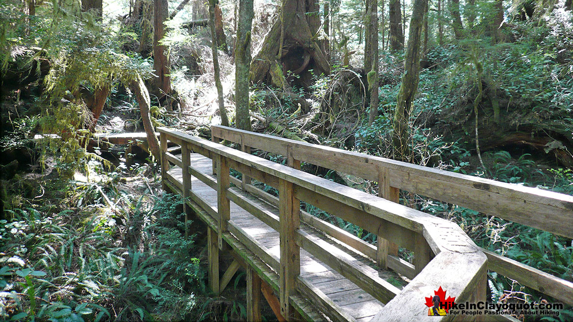 Hot Springs Cove Boardwalk