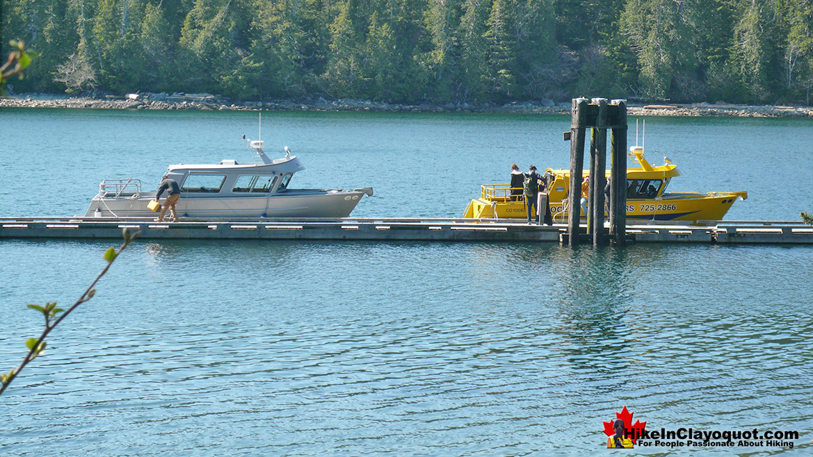 Hot Springs Cove Dock