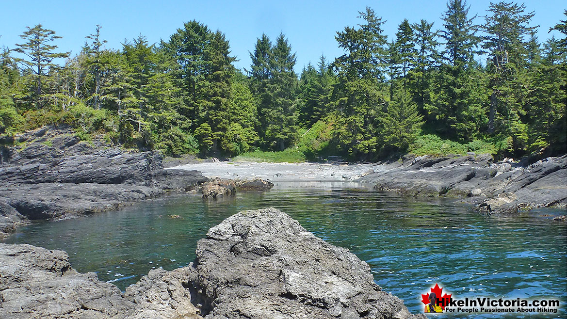 Juan de Fuca Trail Botanical Beach