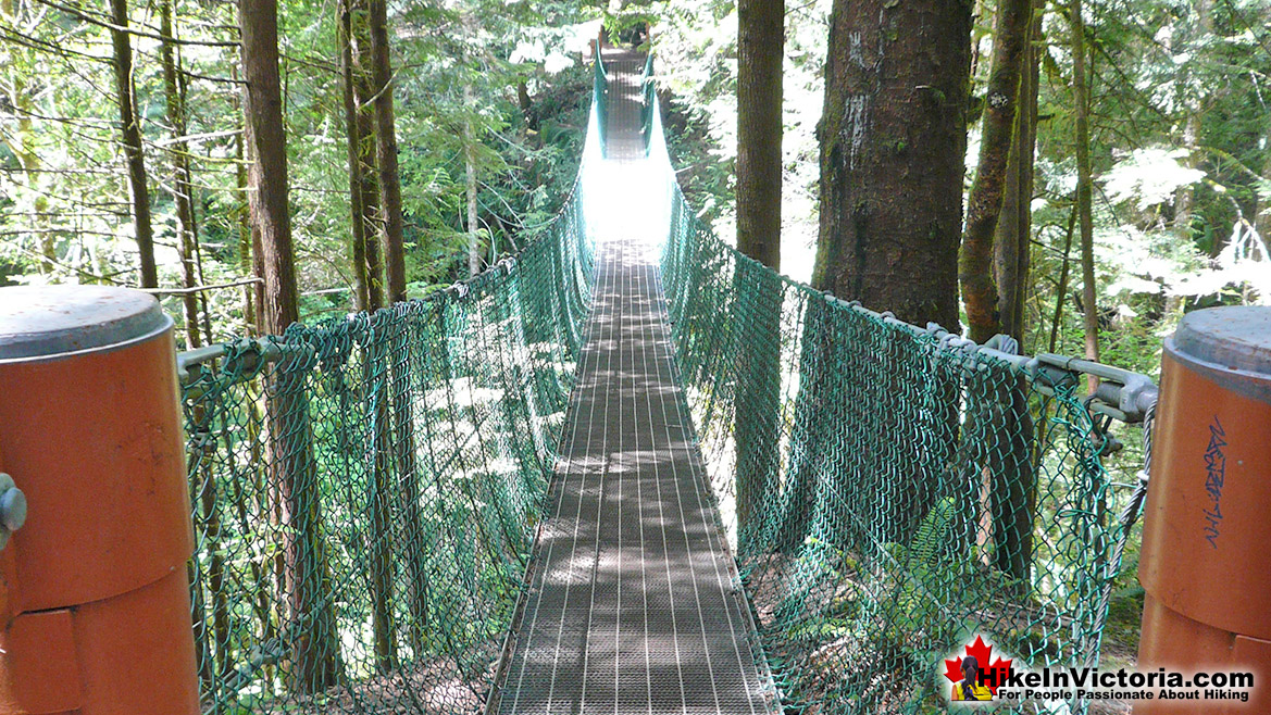 Juan de Fuca Trail