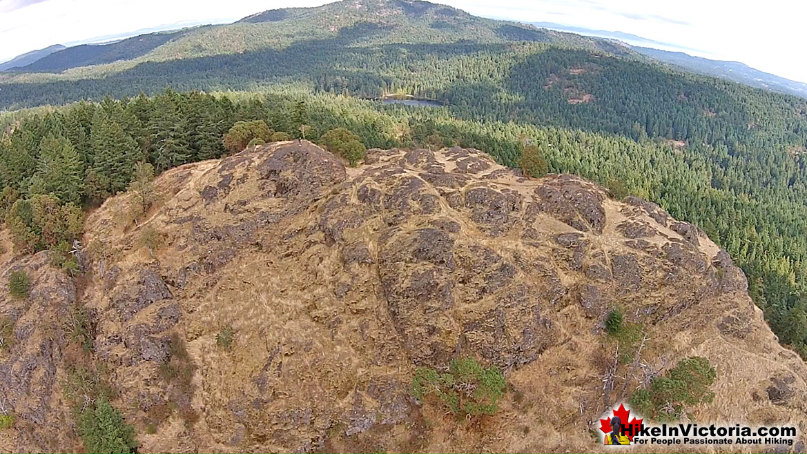 Lone Tree Hill Hike in Victoria