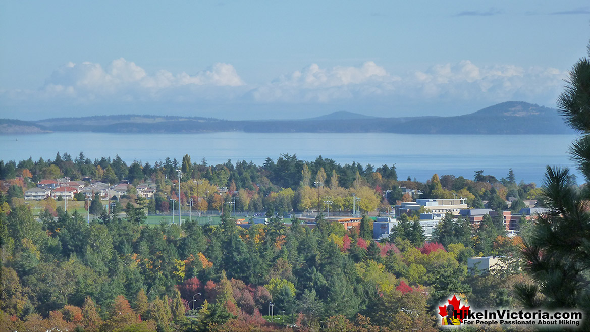 Mount Tolmie Hike in Victoria