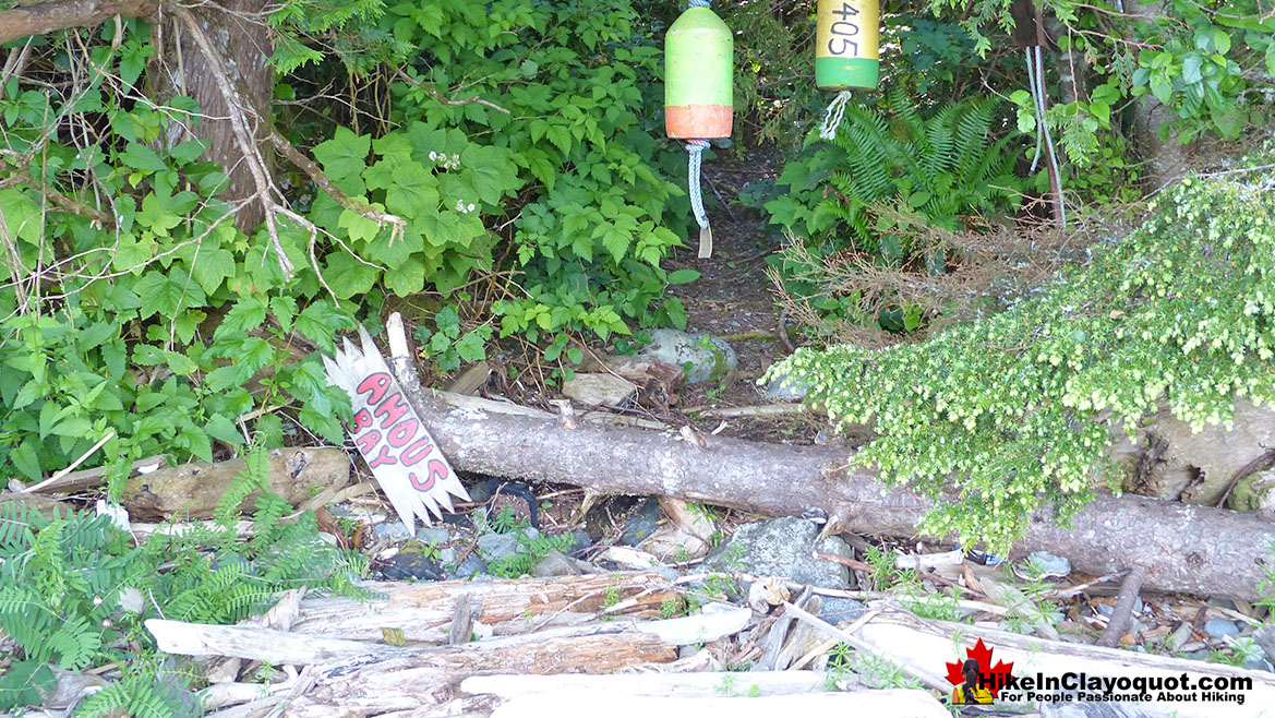 Vargas Island Telegraph Trail Trailhead