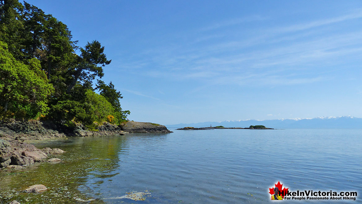 Witty's Lagoon Regional Park Hike in Victoria