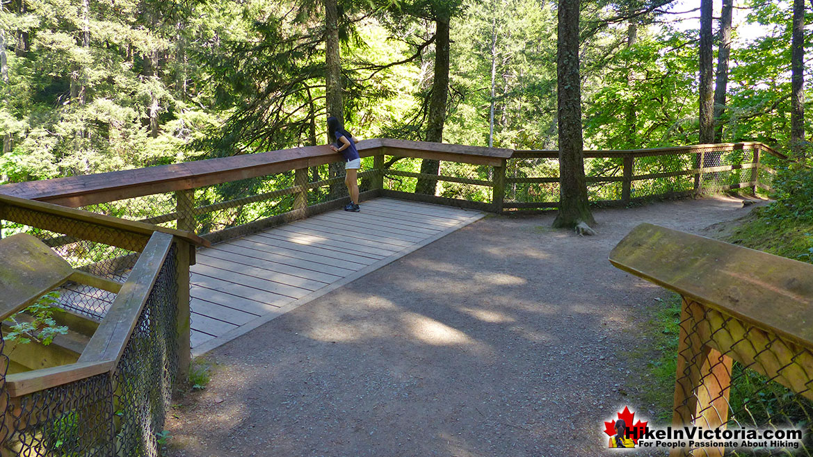 Witty's Lagoon Hike in Victoria